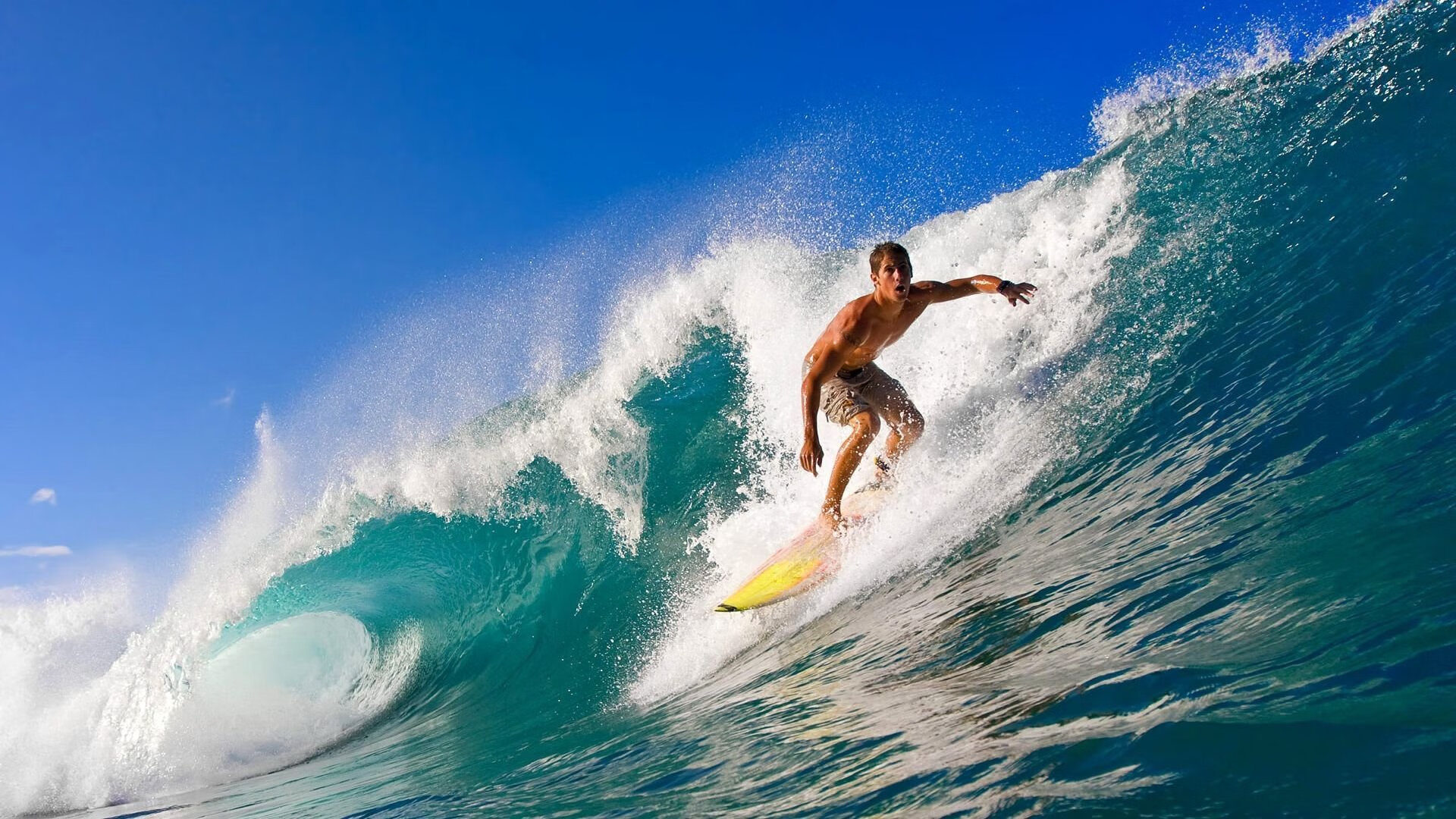 “南非羚羊队的防线核心:霍斯特如何改变比赛走向”