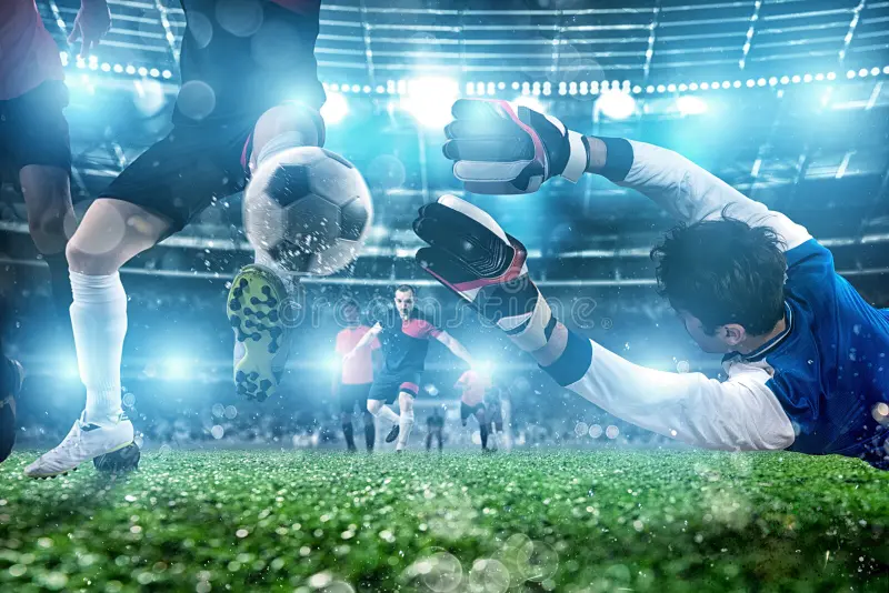 乐鱼体育官方网站 - 网页版登录入口地址 Leyu Sports