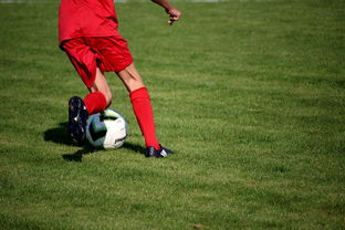 乐鱼体育官网优惠-内线球员在快节奏体系下的功能性演变，内线球员的主要作用